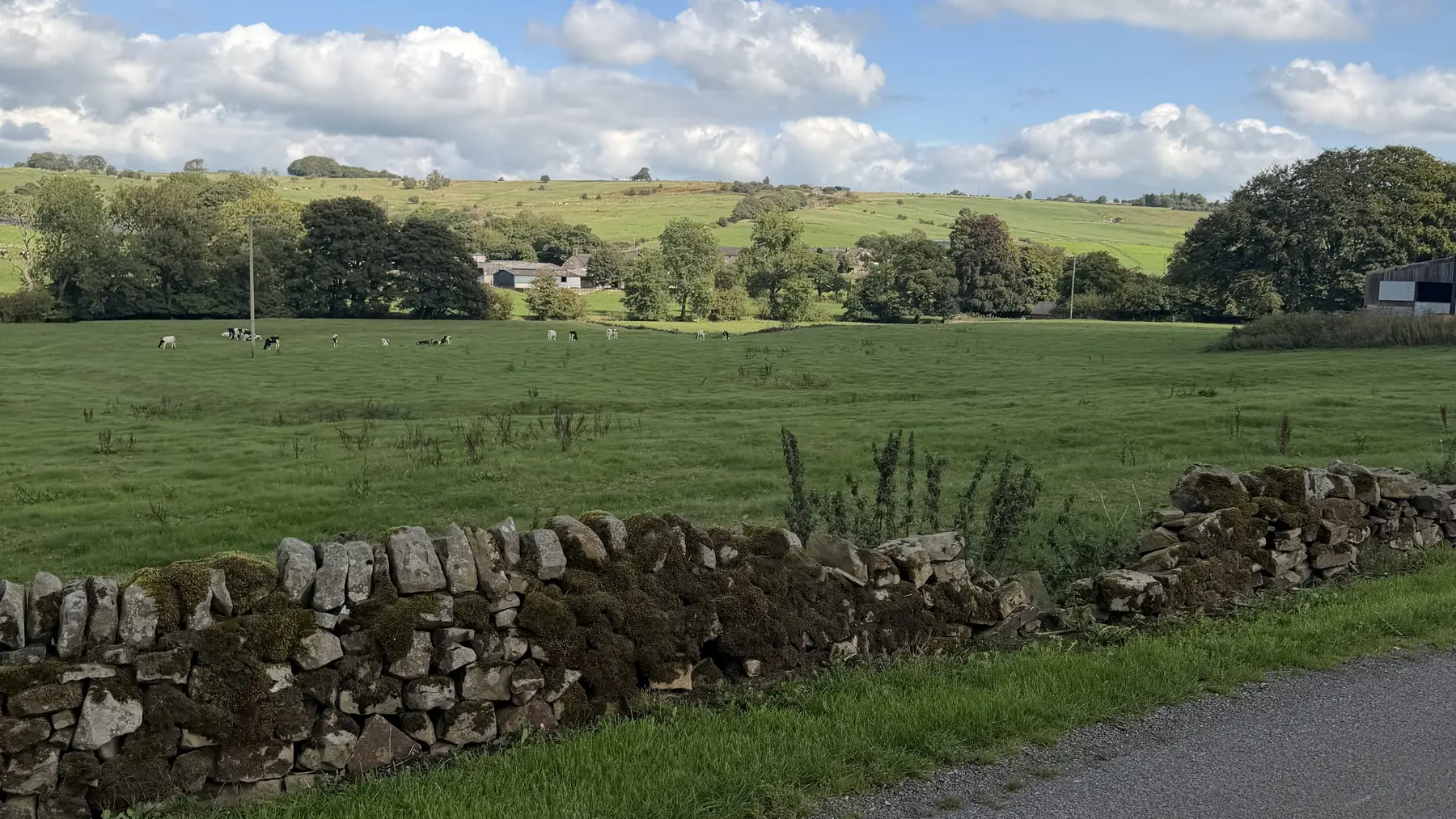 Rolling green countryside and dry-stone walls near Onecote in the Staffordshire Moorlands