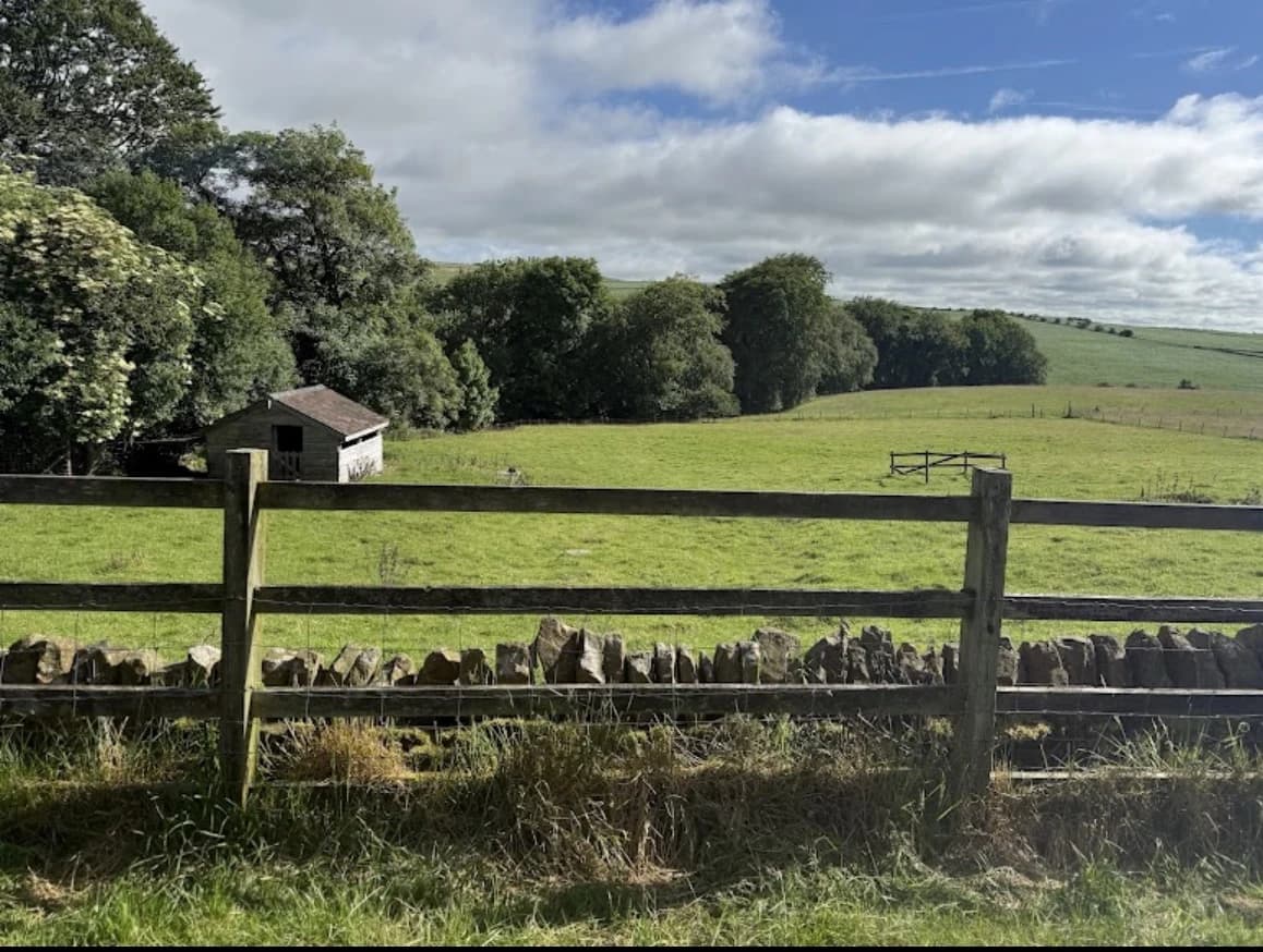 The dry-stone-walled fields on the walk up from Lane Head Barns